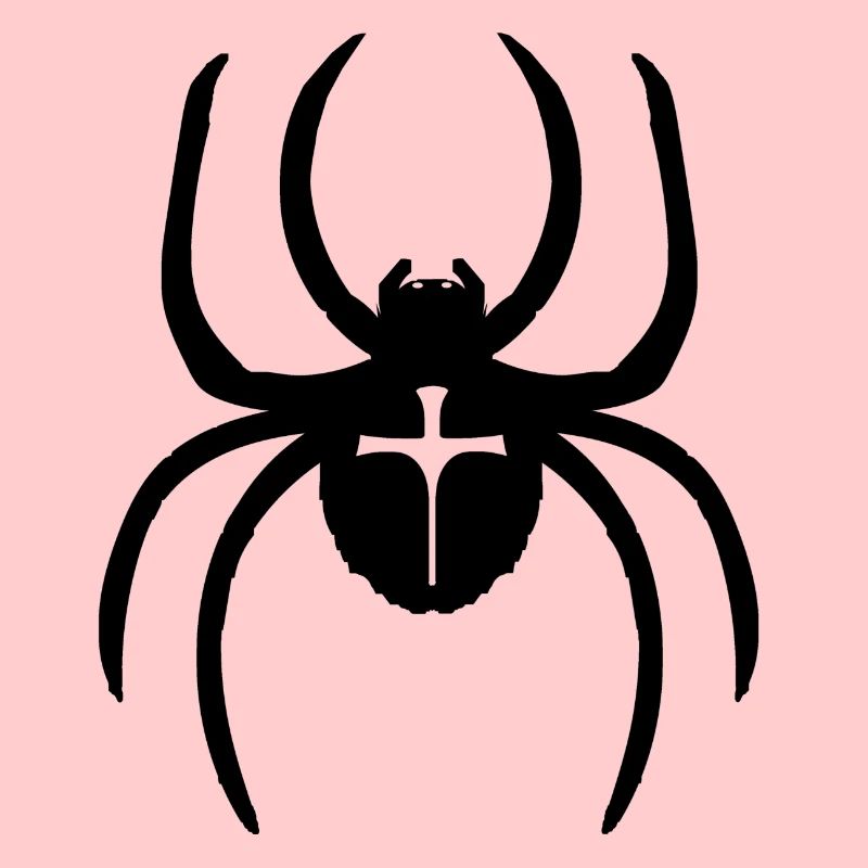Spinne