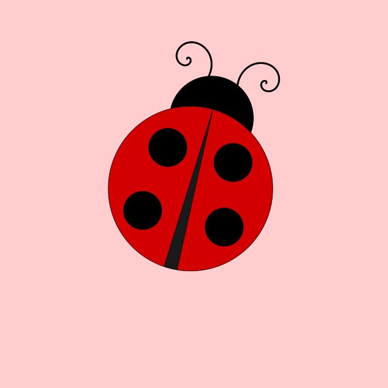 ladybug