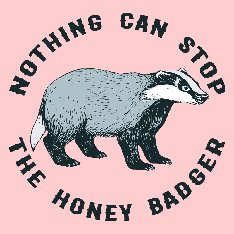 NOTHING CAN STOP THE HONEY BADGER