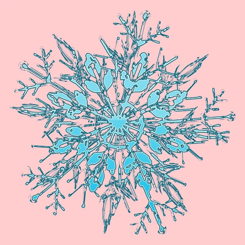 Snowflake / flocon de neige
