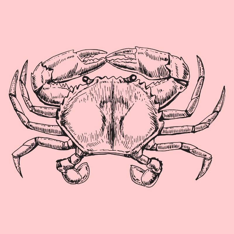 Krabbe