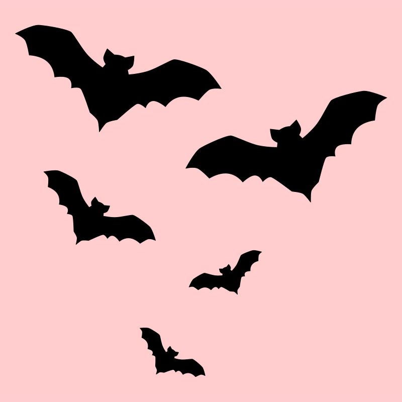 Fledermaus Fledermäuse