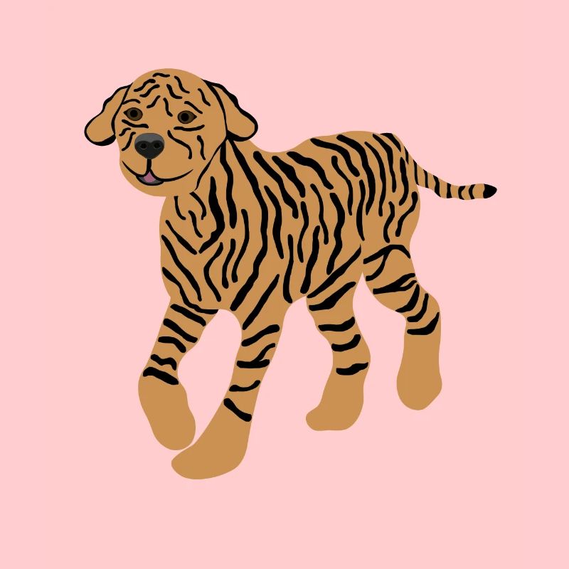 Dog with Tiger Pattern, Poodle, Funny, Crazy