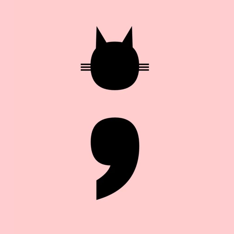 Semi-colon chat chat point-virgule