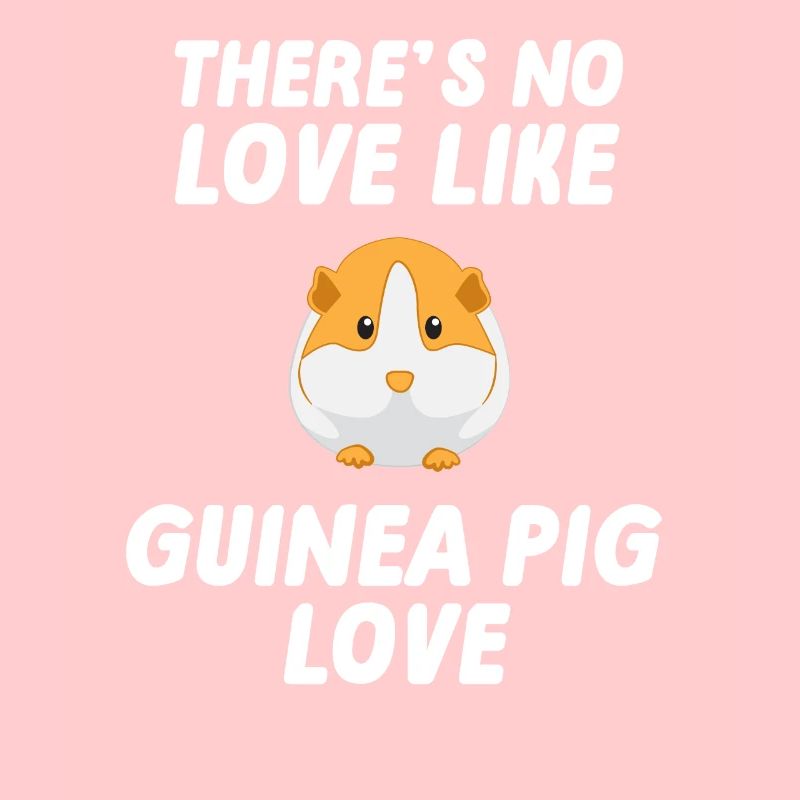 Cochon d'Inde - Cochon d'Inde - Amour