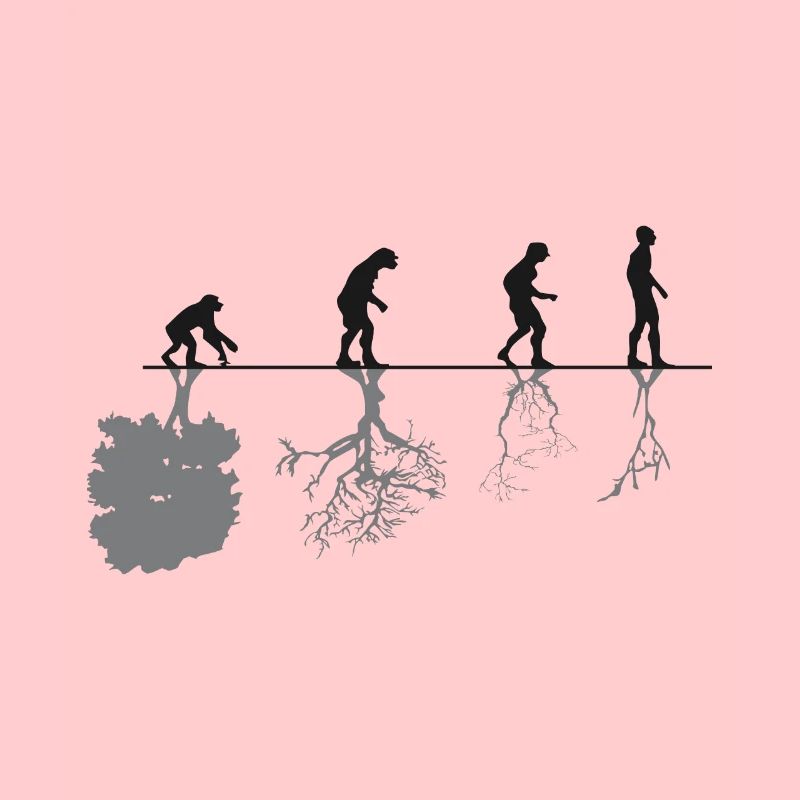Evolution Black