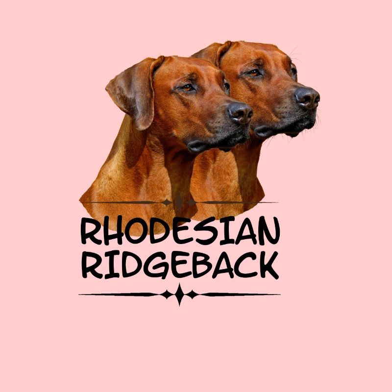 Rhodesian Ridgeback