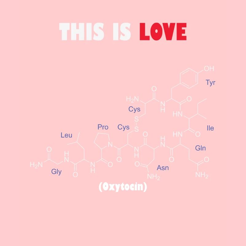 C’est la molécule d’ocytocine d’amour