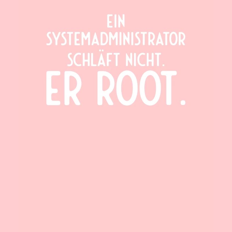 Informatiker Admin EDV
