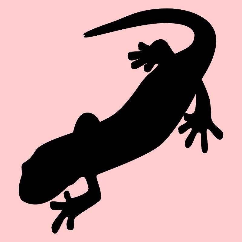 Salamander