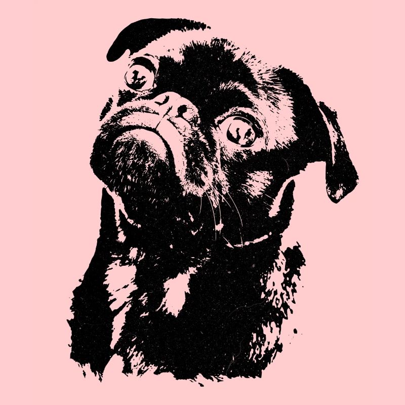 Eine Skizze eines Mops