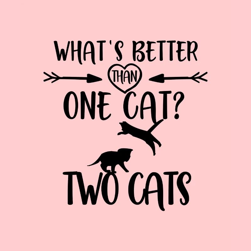 Katzen Spruch