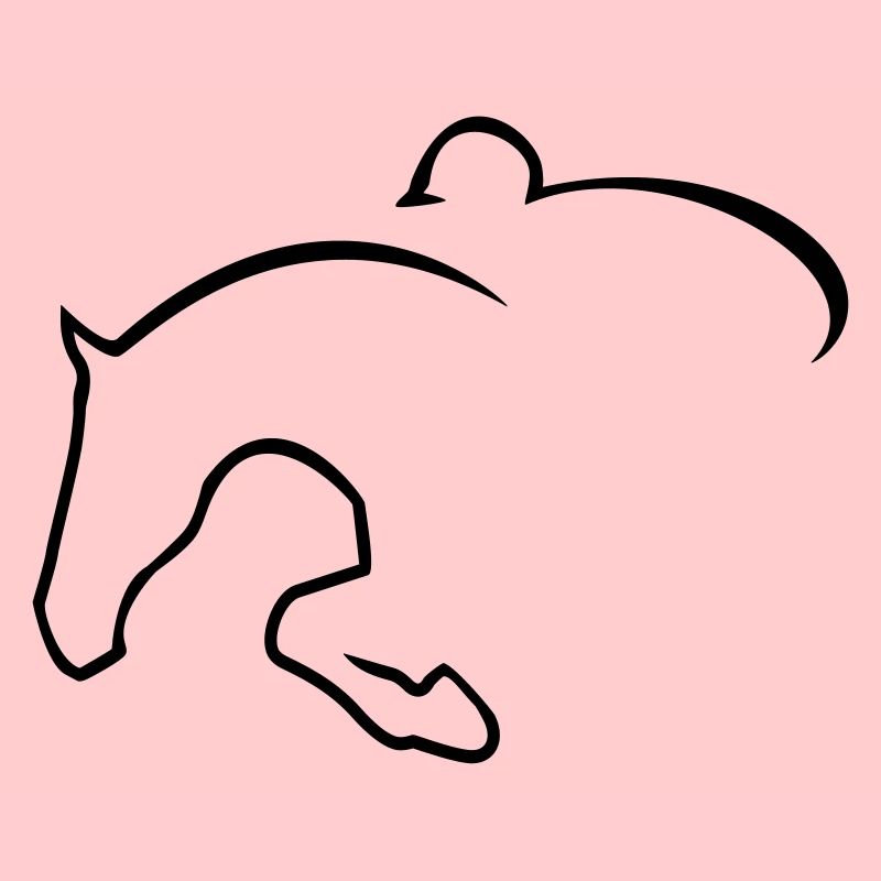 Springreiter