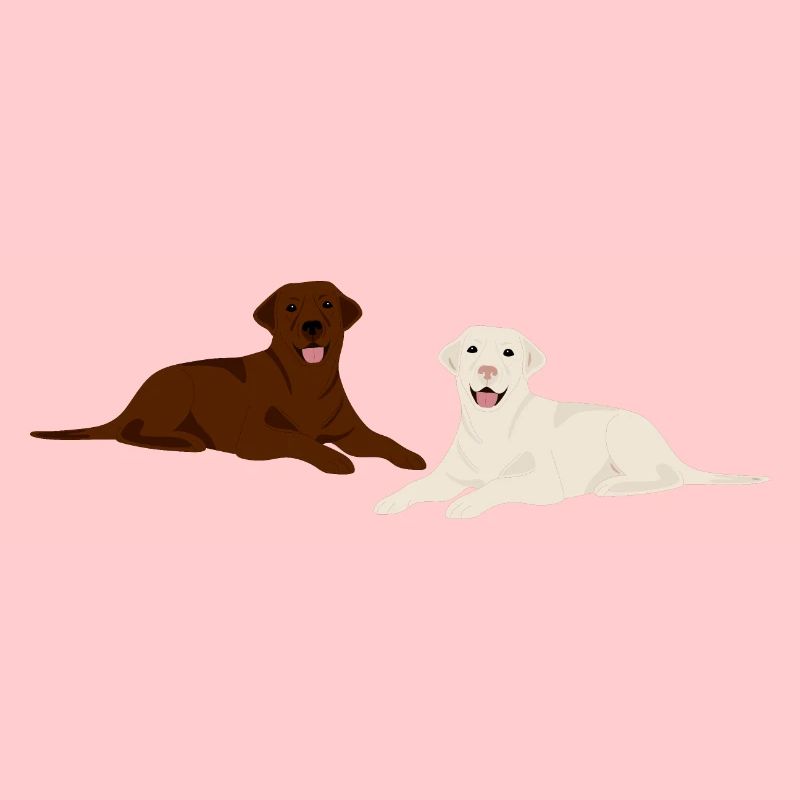 Bloder und brauner Labrador Hund Geschenk