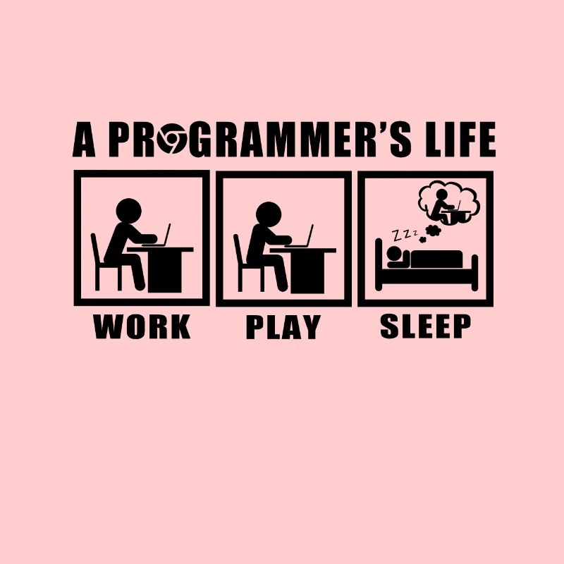 programmeur