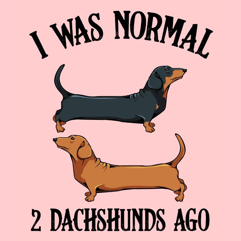 dachshund