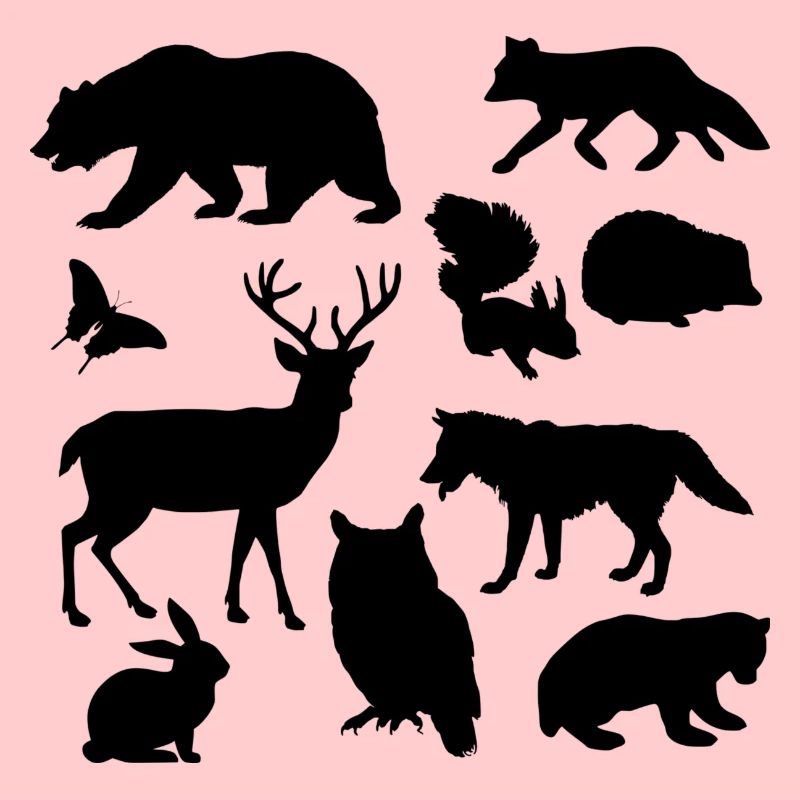 faune