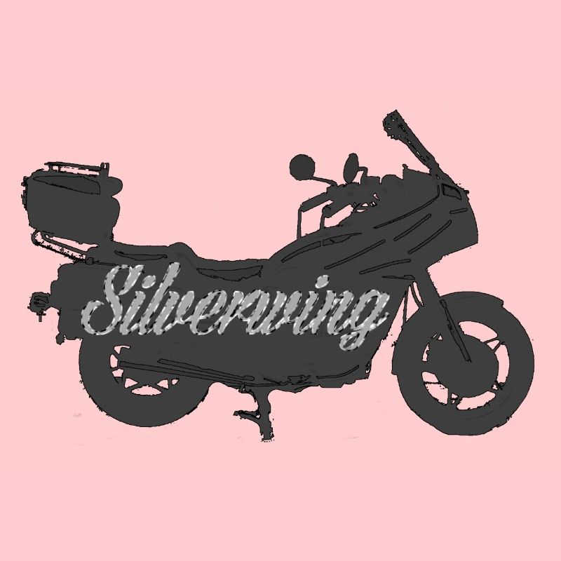 Silverwing Geschenk Geschenkidee Motorrad