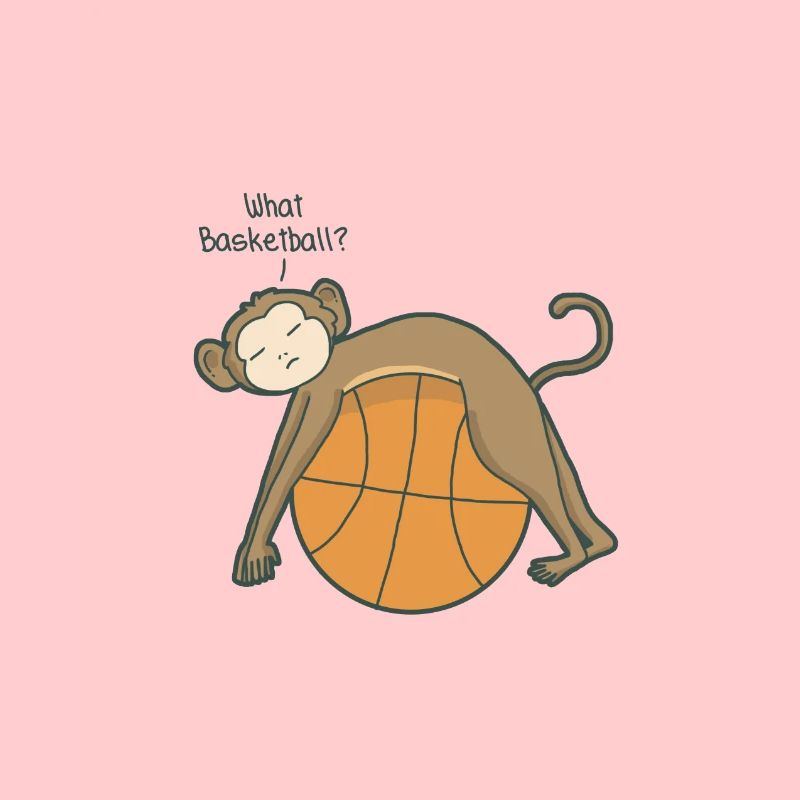 Basket singe singe singe