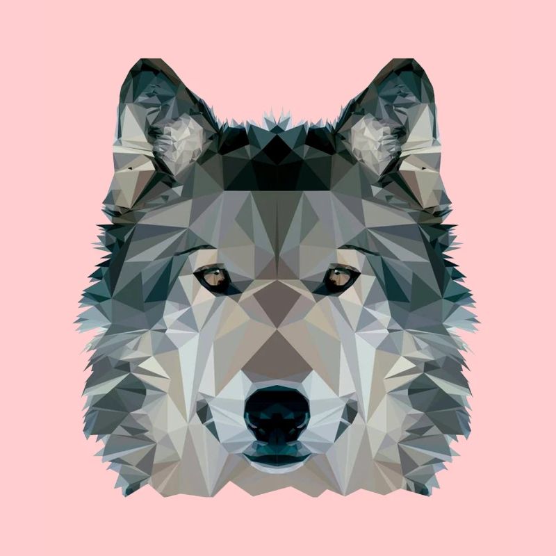 Wolf Face Low Poly Design, Wolf Face Clip art