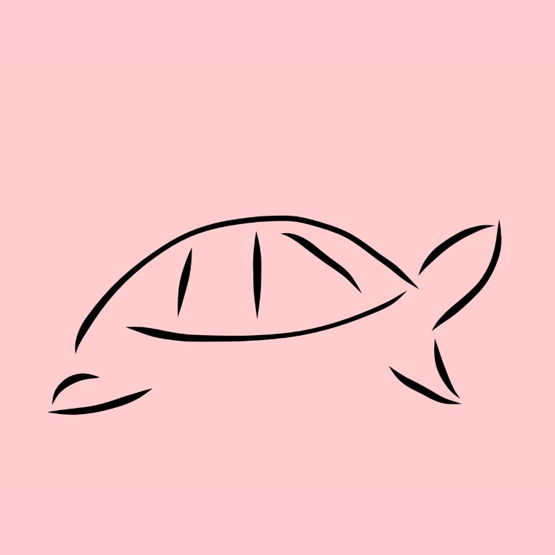 Minimalist turtle
