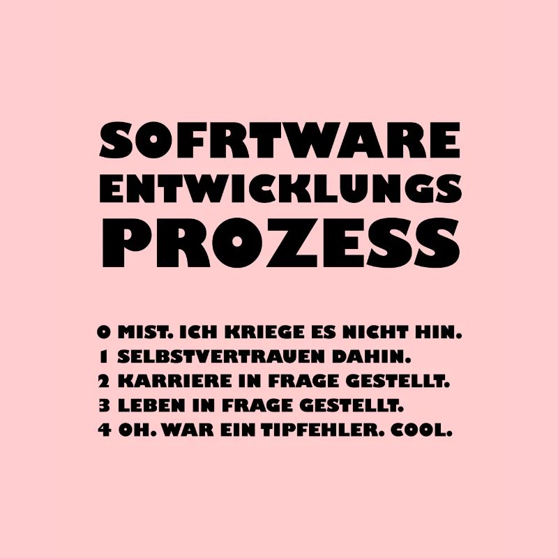 Software development process