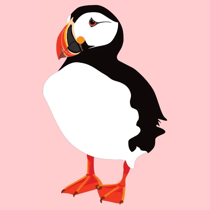 Puffin Solo