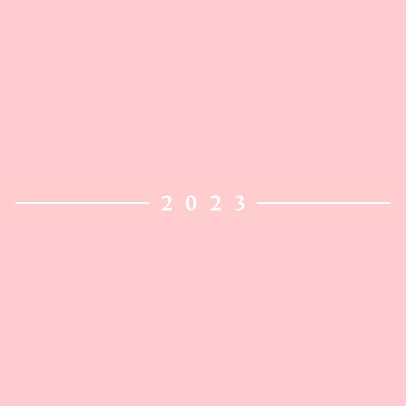 2023 Dash