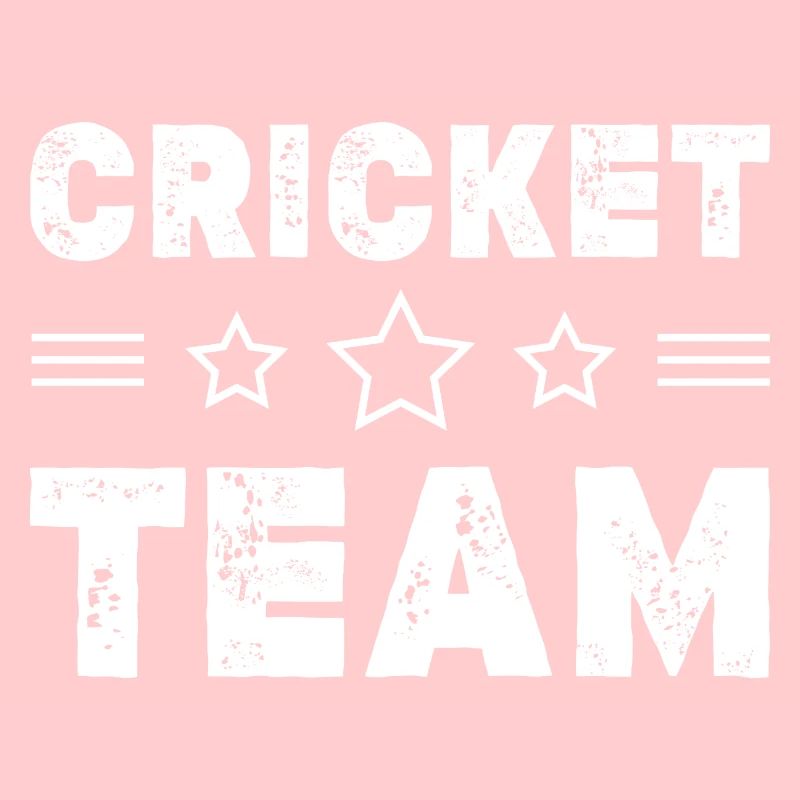 Équipe de cricket