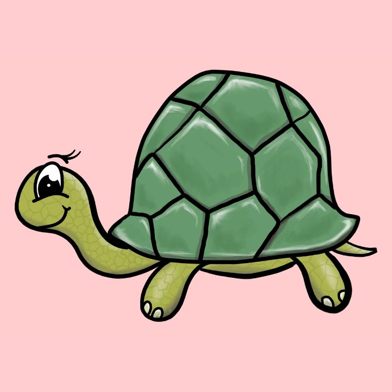 Schildkroete