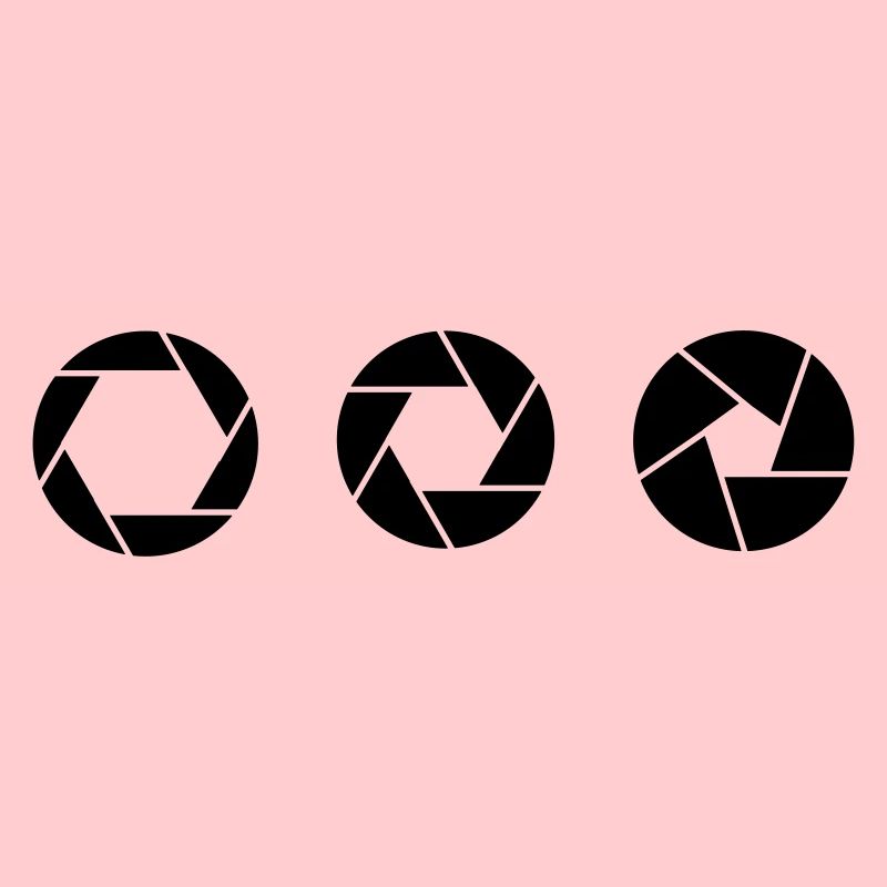 Camera - shutter / shutter