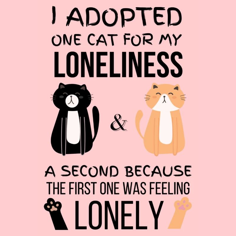 J’ai adopté un chat pour la solitude, un second parce que