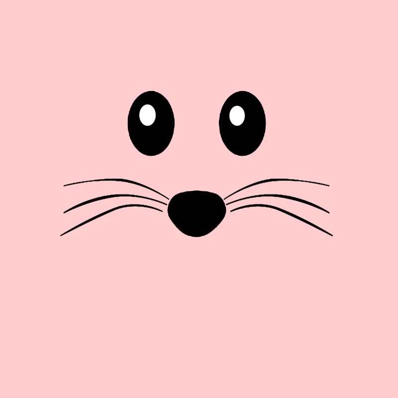 Cute Mouse Muzzle - Mice Face Gift Idea