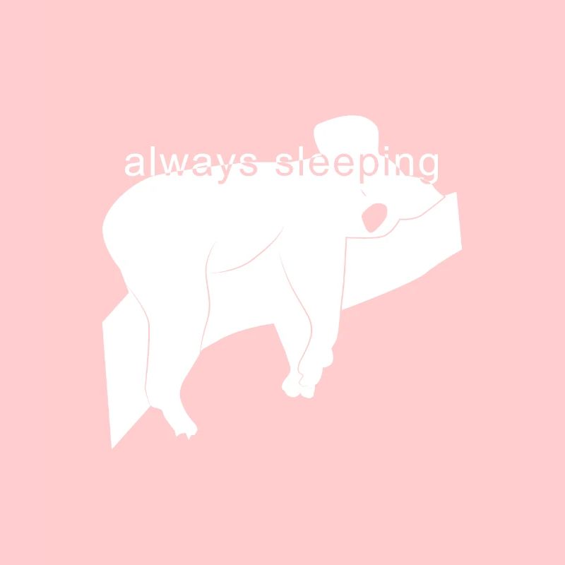 always sleeping gift / sleeping
