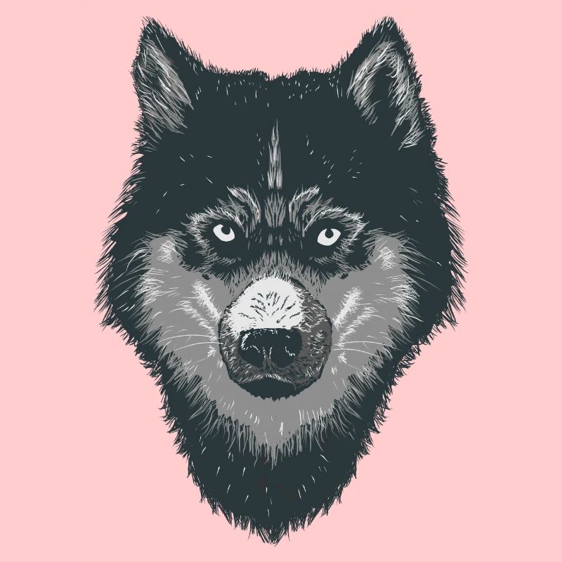 Loup