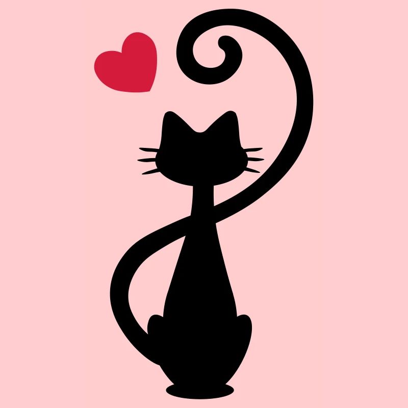 Chat - chat dame - chat - chat - minou
