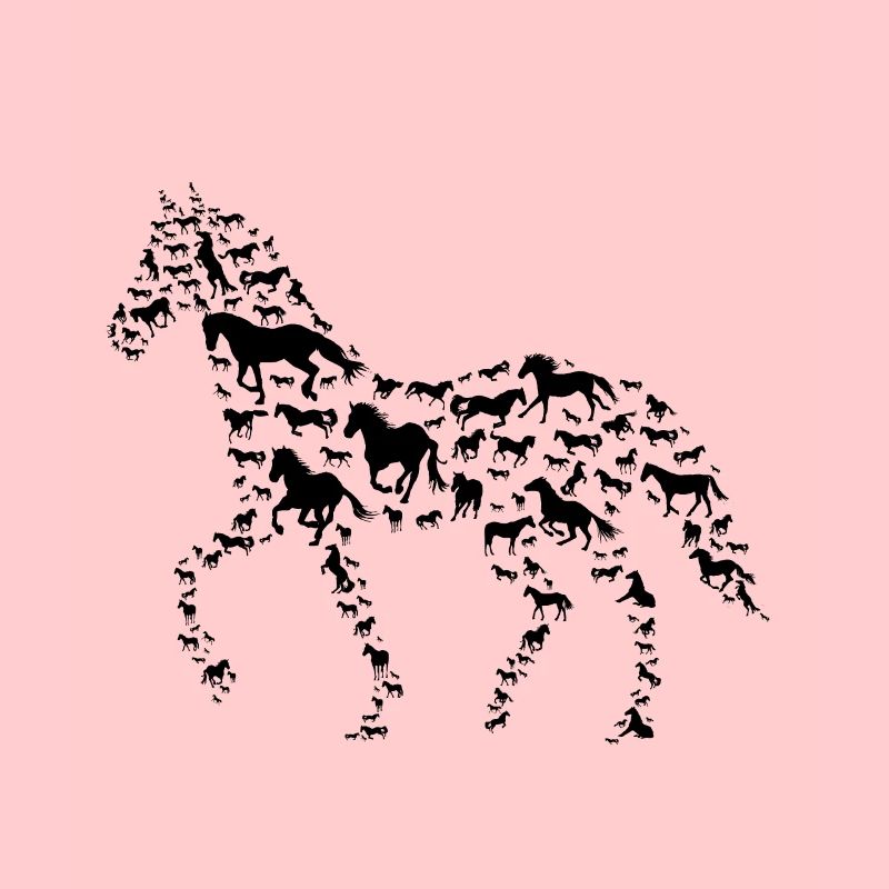 Équitation chevaux