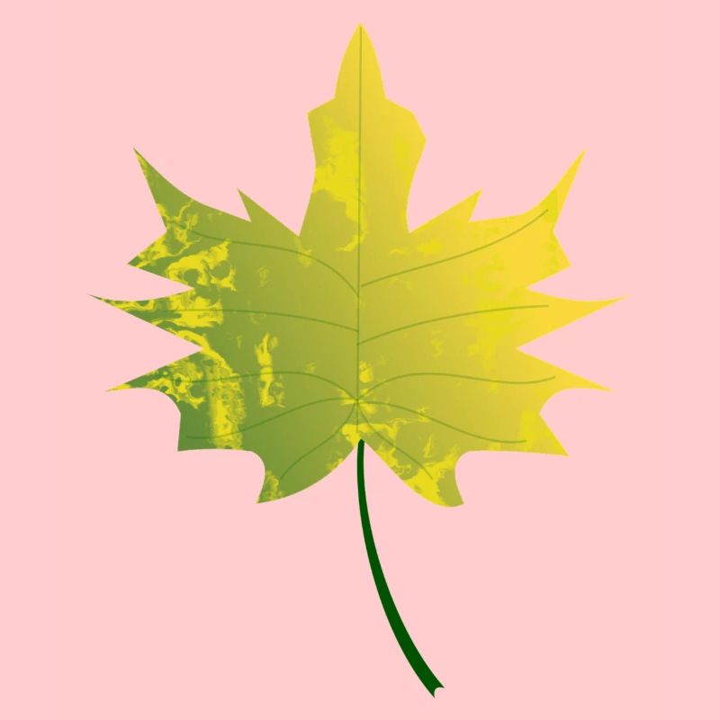 feuille