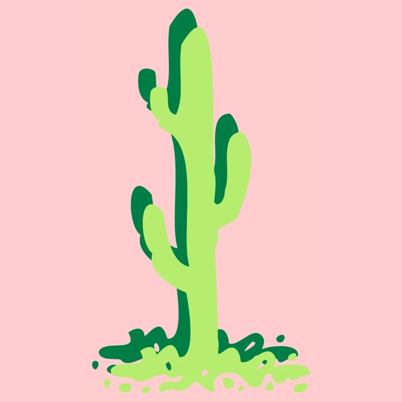 Cactus cactus cactus