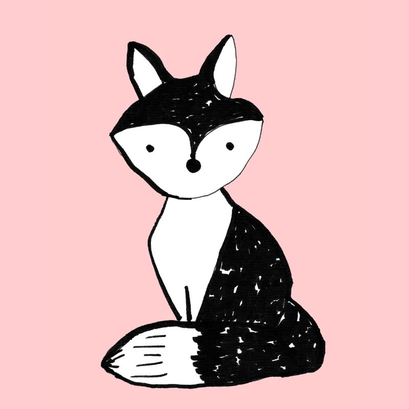 Fuchs Tier Raubtier Reineke Wolf Schlau Geschenk