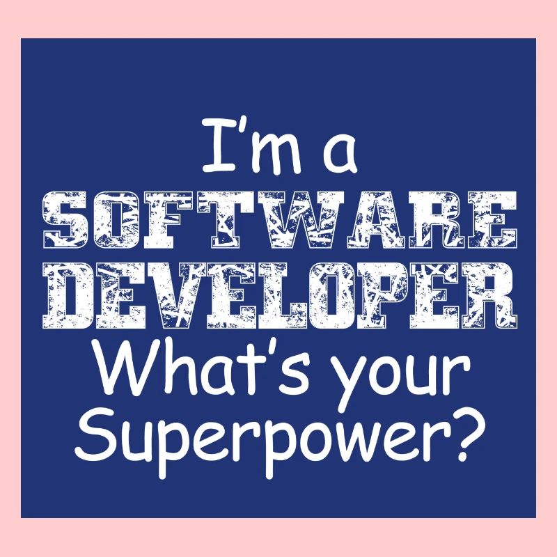Software Developer