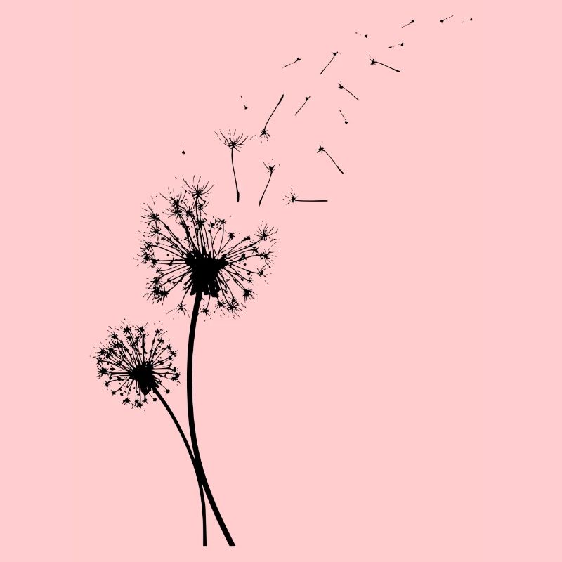 Pusteblume mit fliegenden Samen. Geschenk