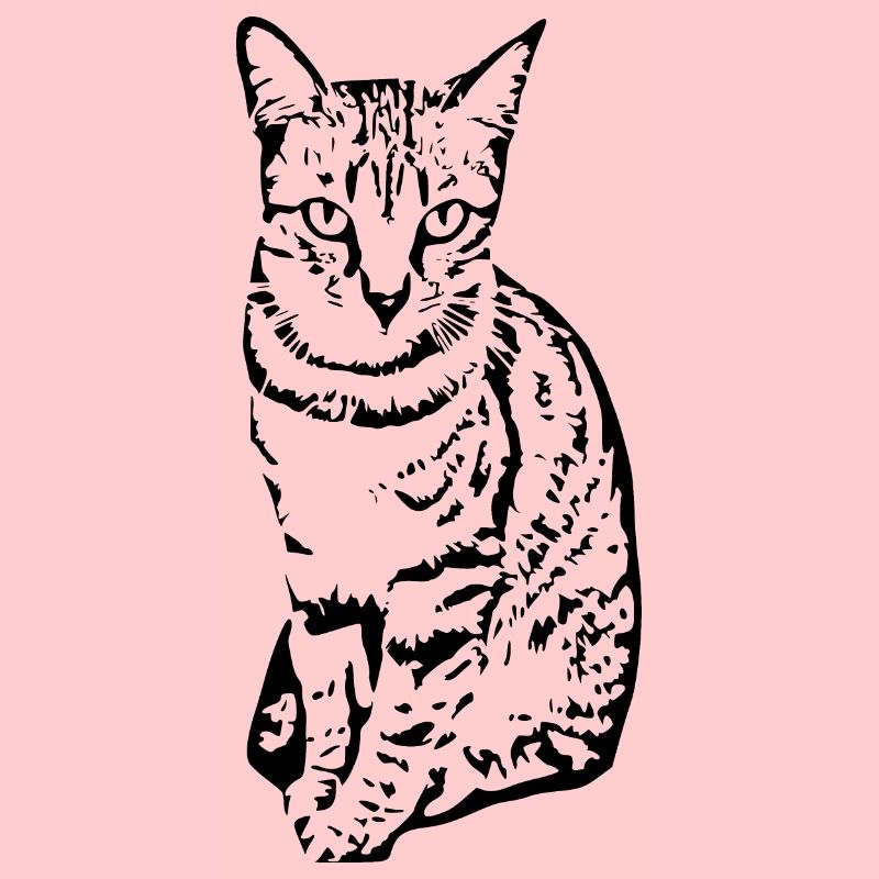 Katze Kätzchen Tigerkatze Katzenshirt Geschenk