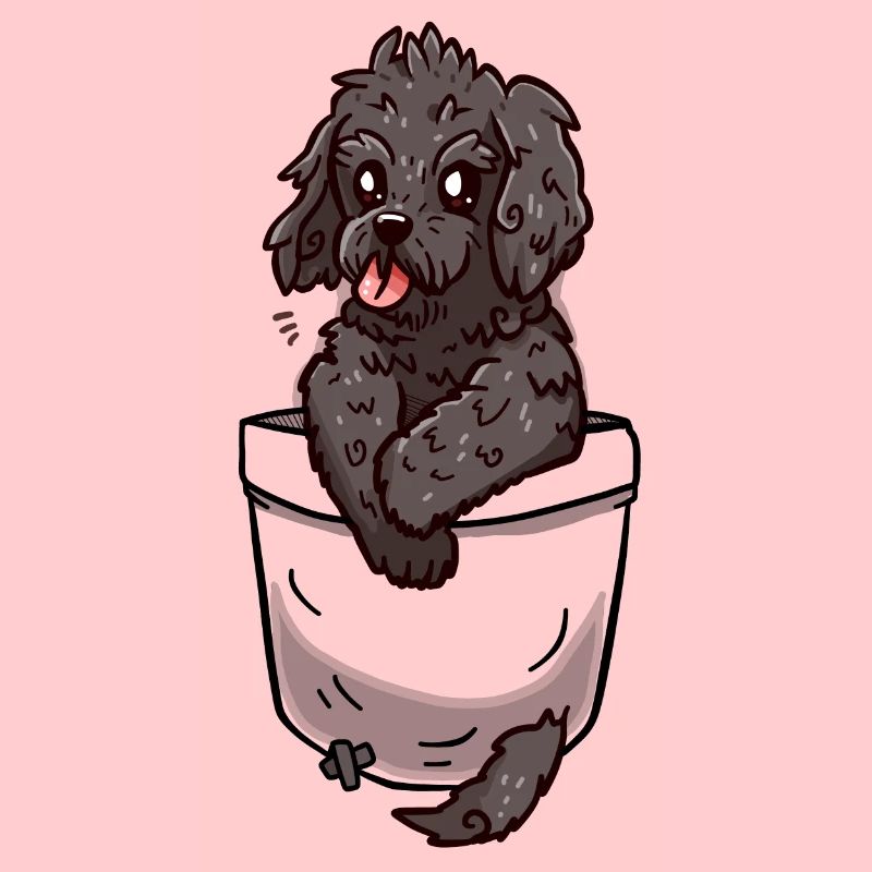 Poche Cockapoo