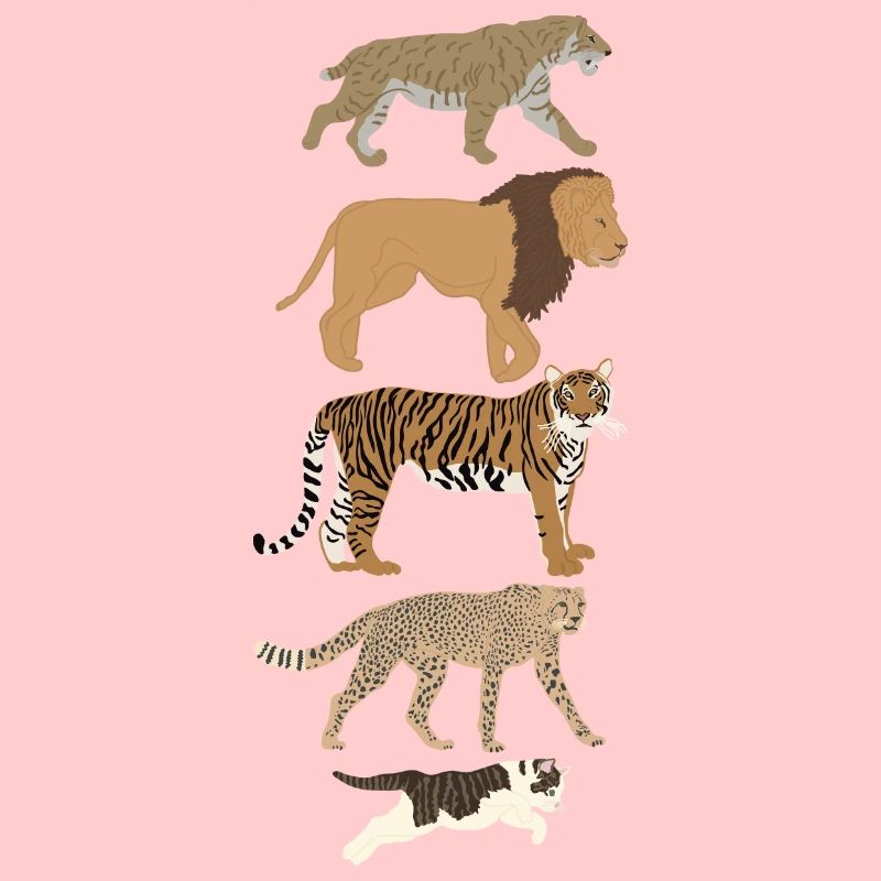 Evolution Chat Lion Guépard Vertical multicolore