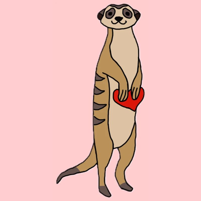 Erdmännchen