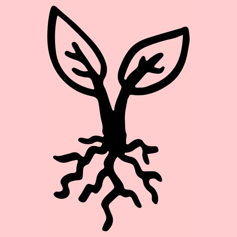 Plant root / plant - root - seedling - sprout