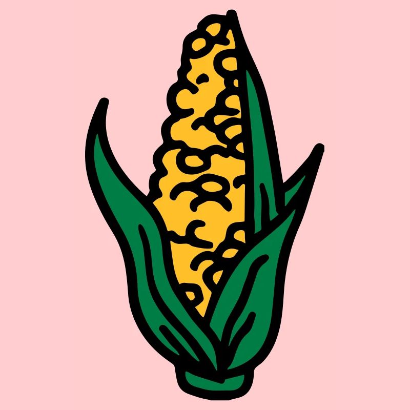Corn maïs maïs corncob