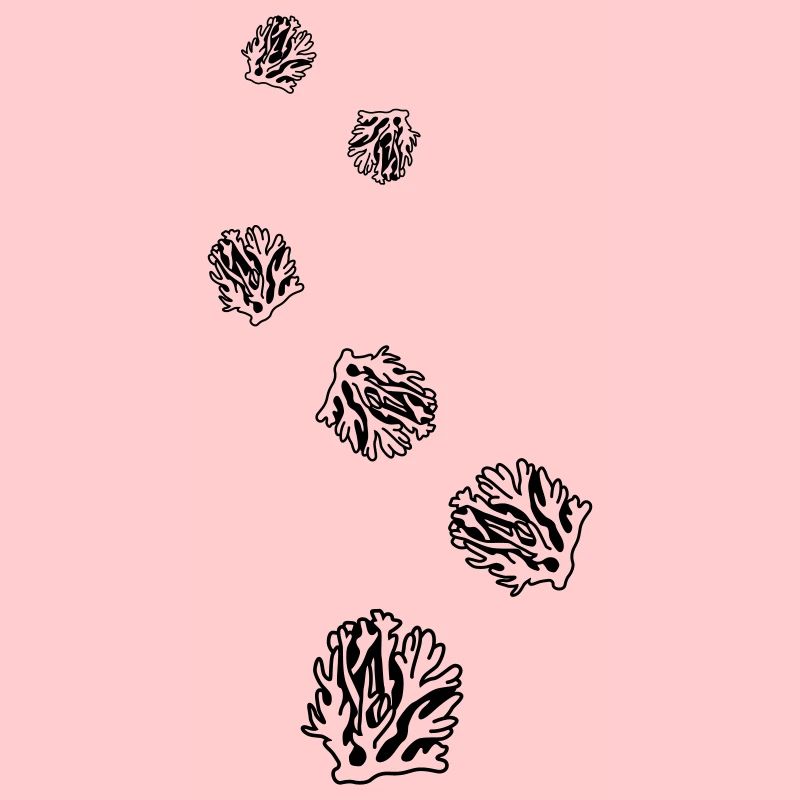 Coral Ocean