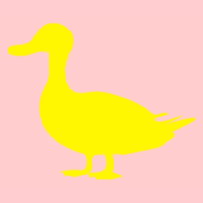Canard canard
